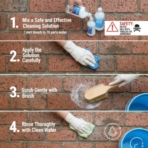 Mold and Mildew on Brick Floors